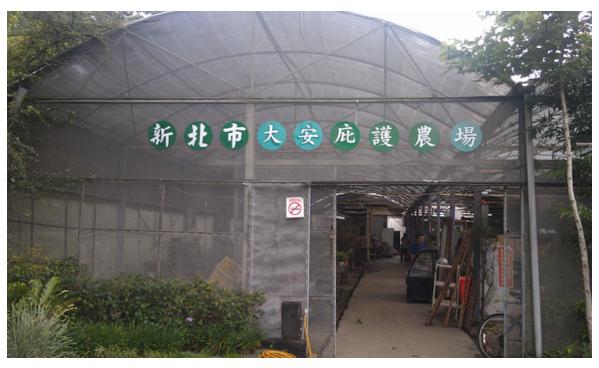 玟玟學習到園藝知識和包裝技能